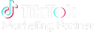 Tiktok Marketing partner
